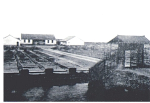 pagenumber_ebook=77,pagenumber_book=62