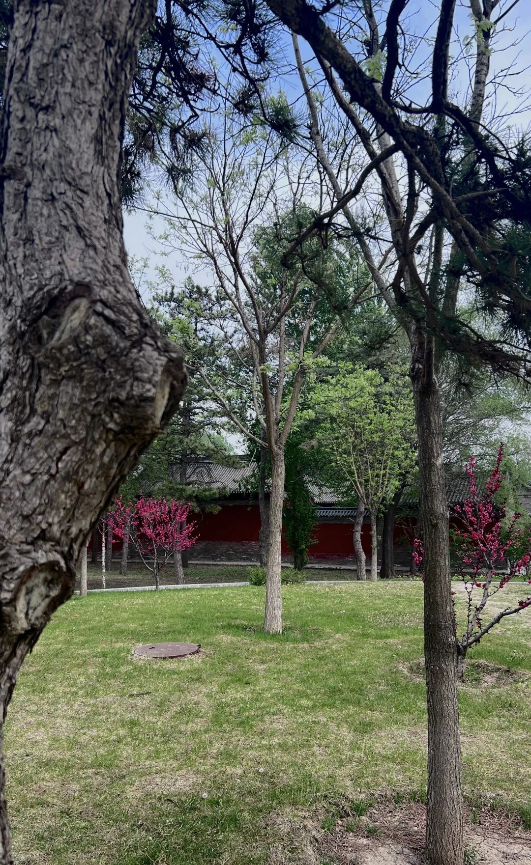 c396f84f69c3f5446b1681f965ebe9c1_640_wx_fmt=jpeg&wxfrom=5&wx_lazy=1&wx_co=1 c396f84f69c3f5446b1681f965ebe9c1_640_wx_fmt=jpeg&wxfrom=5&wx_lazy=1&wx_co=1.jpg