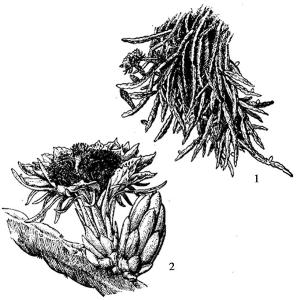 pagenumber_ebook=231,pagenumber_book=231