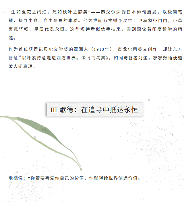 image.png?v=1774105058942