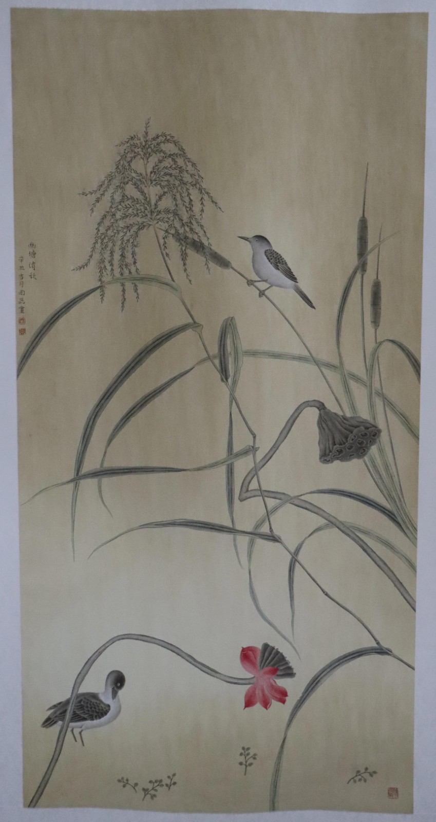 曲磊(黑龙江省哈尔滨市) 曲磊(黑龙江省哈尔滨市).jpg?v=1762795629393