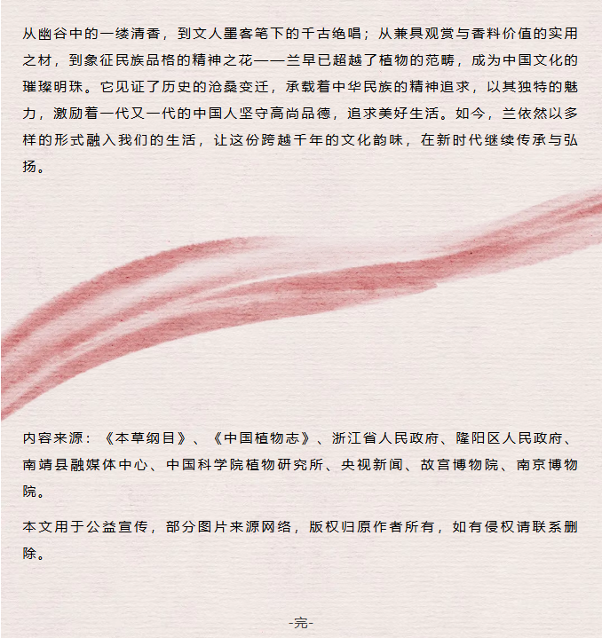 image.png?v=1762124792502