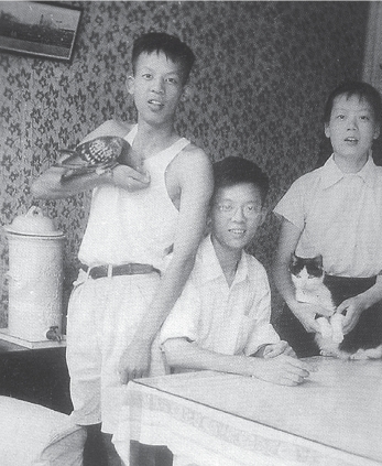 pagenumber_ebook=256,pagenumber_book=244