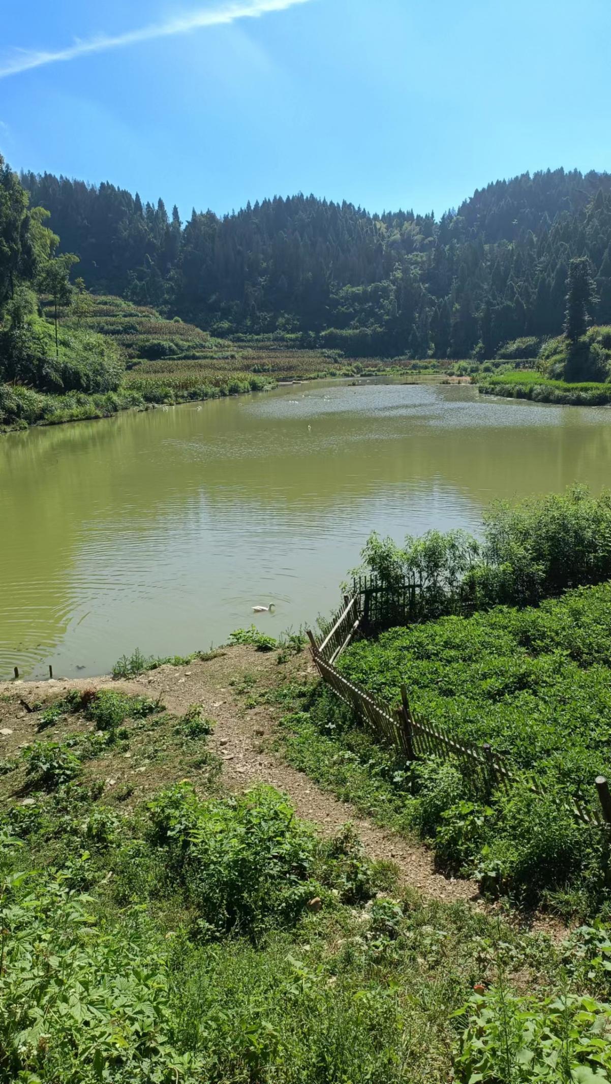 wps_doc_2 wps_doc_2.jpeg