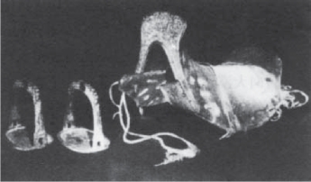 pagenumber_ebook=238,pagenumber_book=238