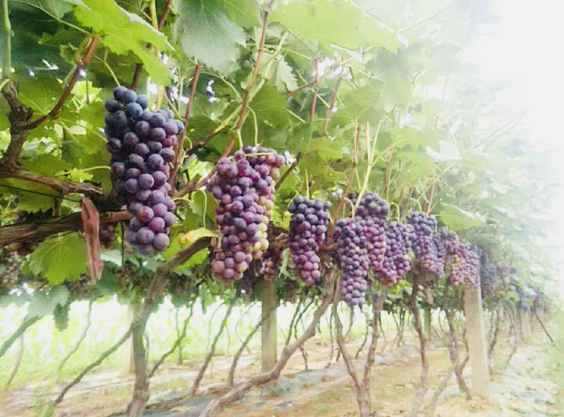 图片12 图片12.png