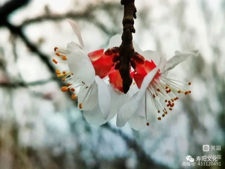 微信图片_20230414095944