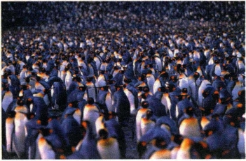 pagenumber_ebook=214,pagenumber_book=205