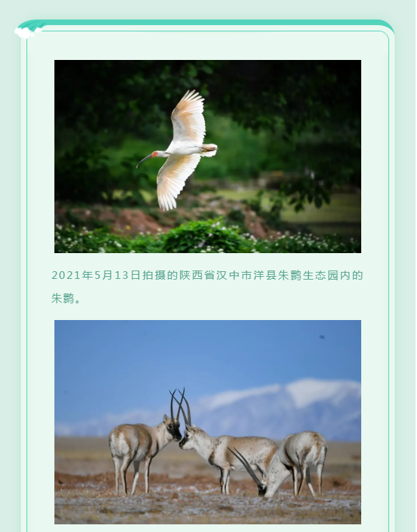 image.png?v=1754275592647