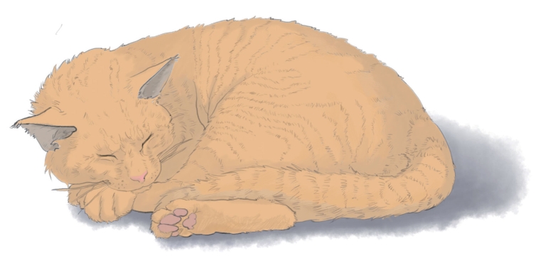 pagenumber_ebook=110,pagenumber_book=99