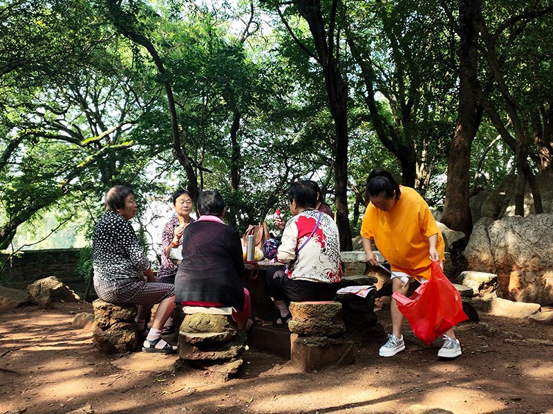 6abdd319f57cbb40993acf05601396c