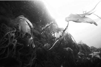 pagenumber_ebook=112,pagenumber_book=112