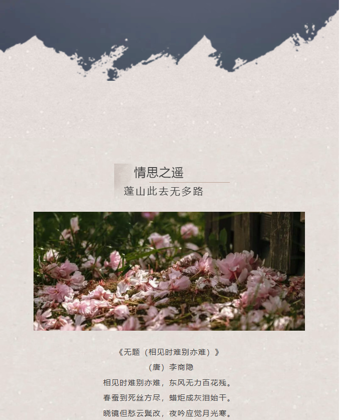 image.png?v=1766232863900