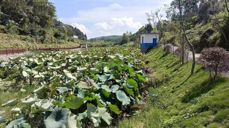 图片 11 图片 11.png