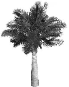 pagenumber_ebook=118,pagenumber_book=118