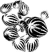 pagenumber_ebook=275,pagenumber_book=275