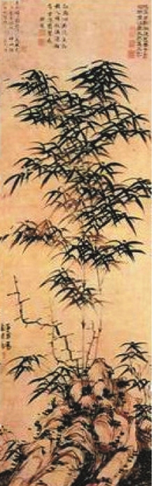 pagenumber_ebook=206,pagenumber_book=204