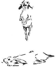 pagenumber_ebook=212,pagenumber_book=204