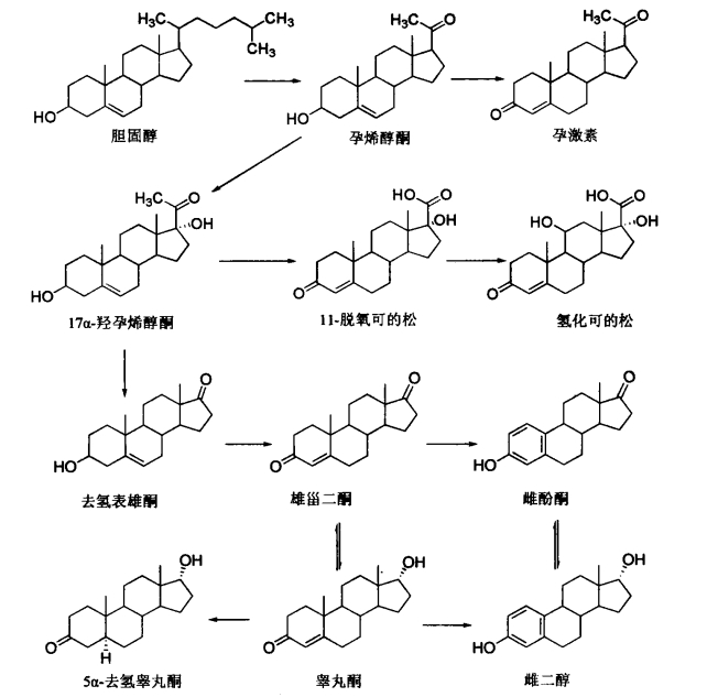 pagenumber_ebook=413,pagenumber_book=395