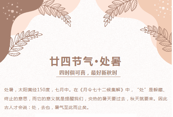 image.png?v=1750237167764