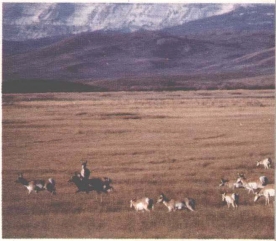 pagenumber_ebook=191,pagenumber_book=183