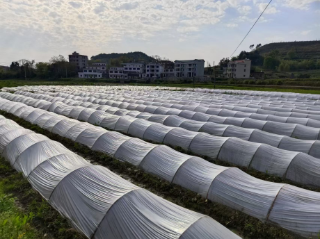 图片 5 图片 5.png