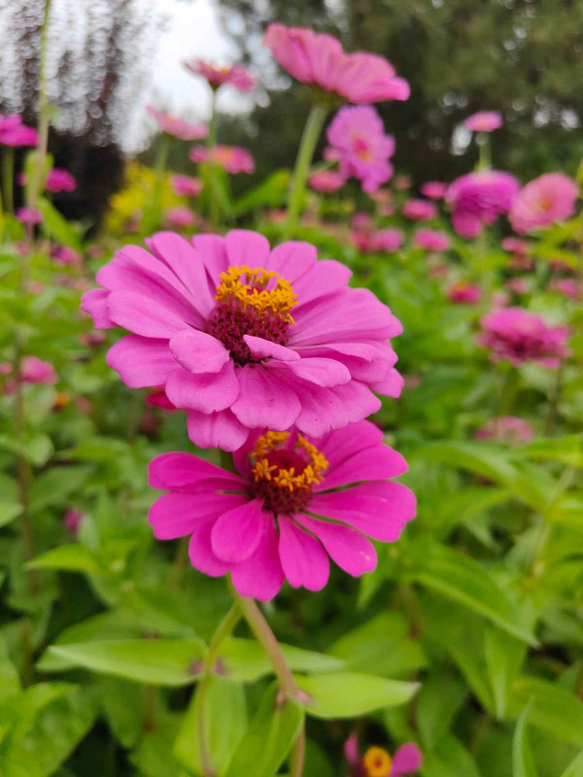 微信图片_20220907091514