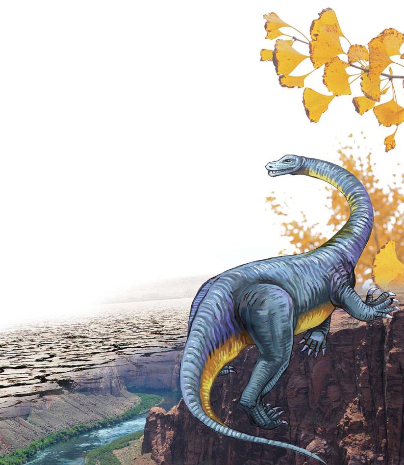 pagenumber_ebook=82,pagenumber_book=71