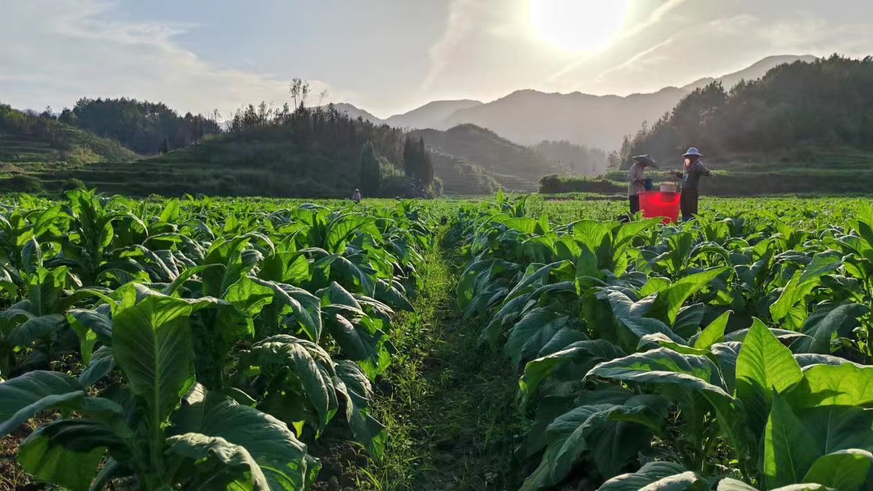 微信图片_20241213111330 微信图片_20241213111330.jpg