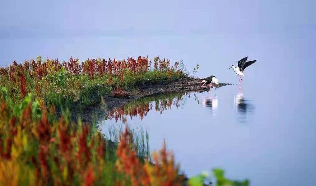 620b2e16d92b2c13a969710c58b68a2 620b2e16d92b2c13a969710c58b68a2.jpg