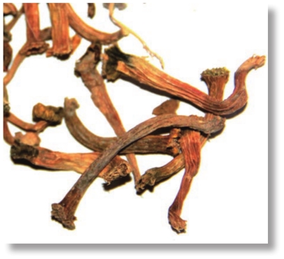 pagenumber_ebook=306,pagenumber_book=293