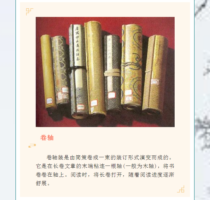 image.png?v=1754275719565