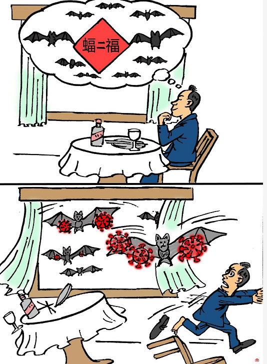 image image.png?v=1784605855649