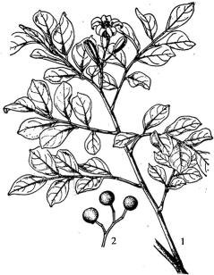 pagenumber_ebook=176,pagenumber_book=176