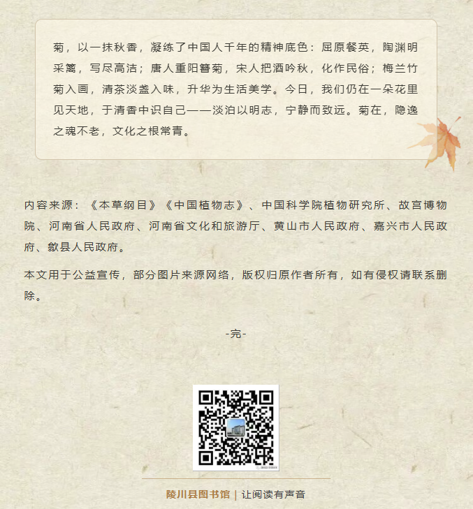 image.png?v=1762100057603