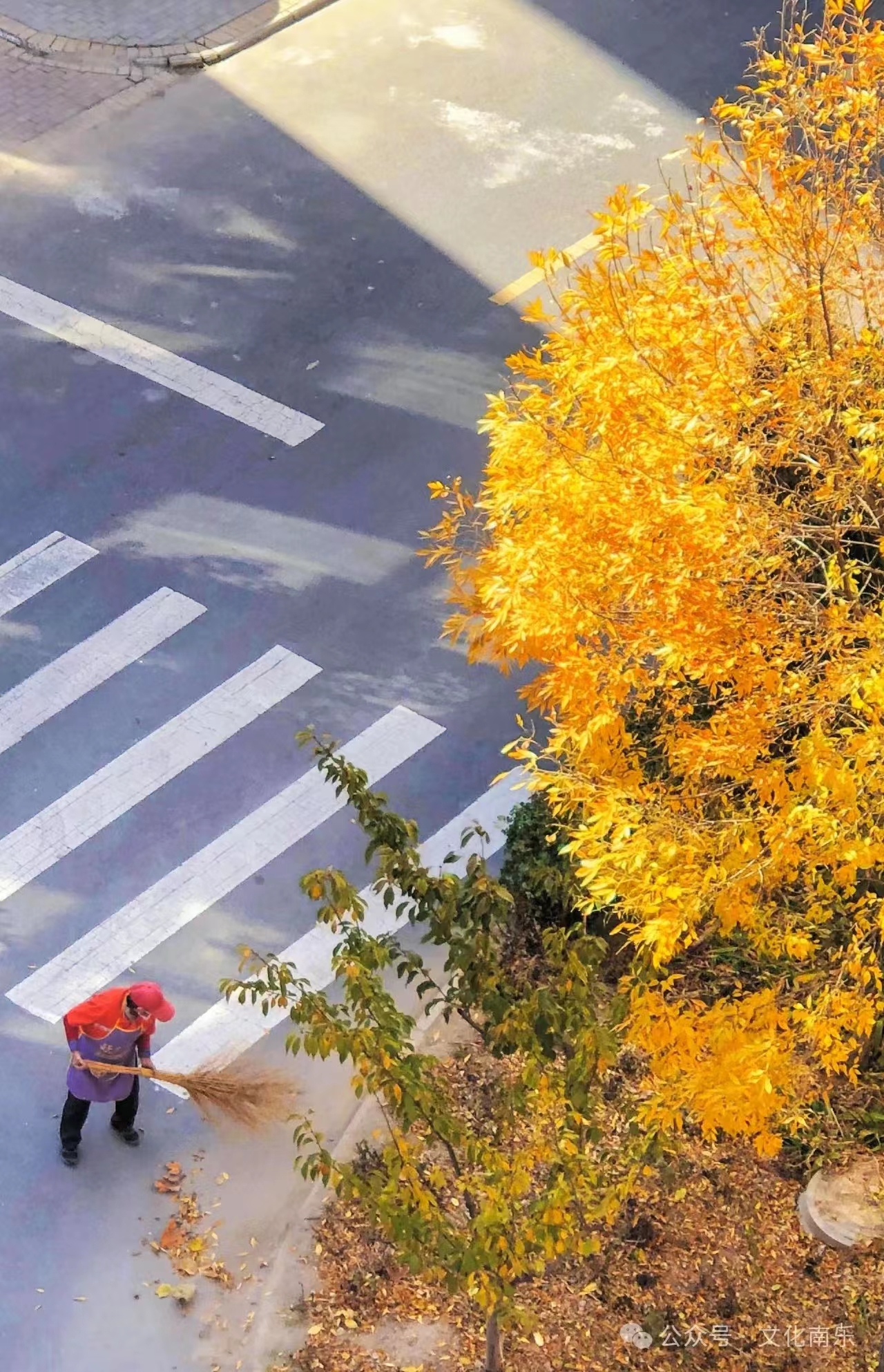 微信图片_20240717090631 微信图片_20240717090631.jpg