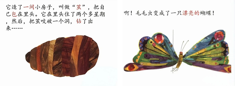 绘本0.jpg