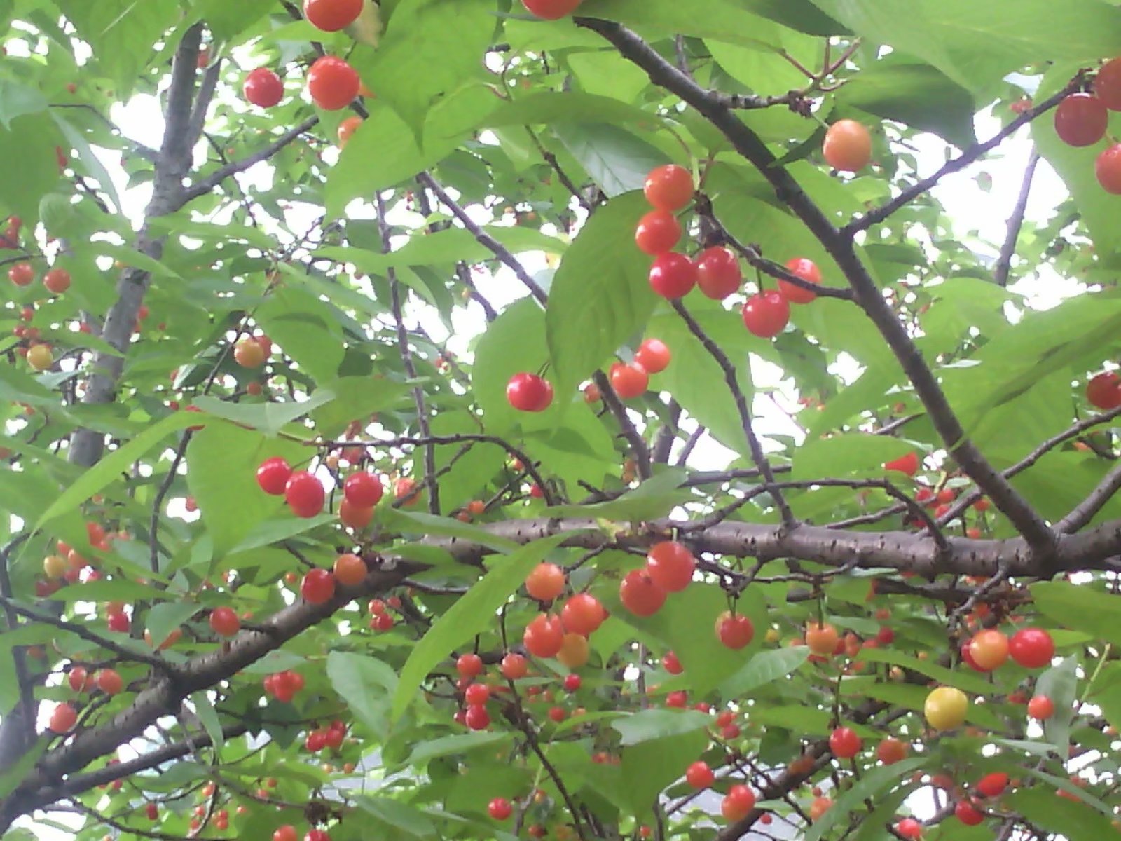 16 16.jpg?v=1762818217888