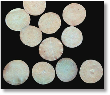 pagenumber_ebook=276,pagenumber_book=263