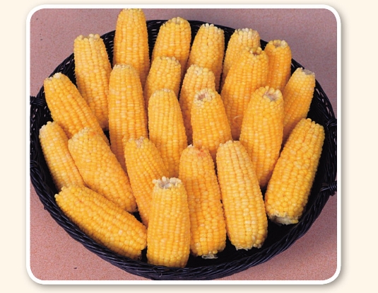 pagenumber_ebook=149,pagenumber_book=139