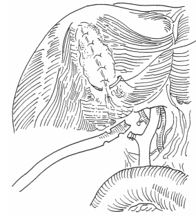 pagenumber_ebook=291,pagenumber_book=283