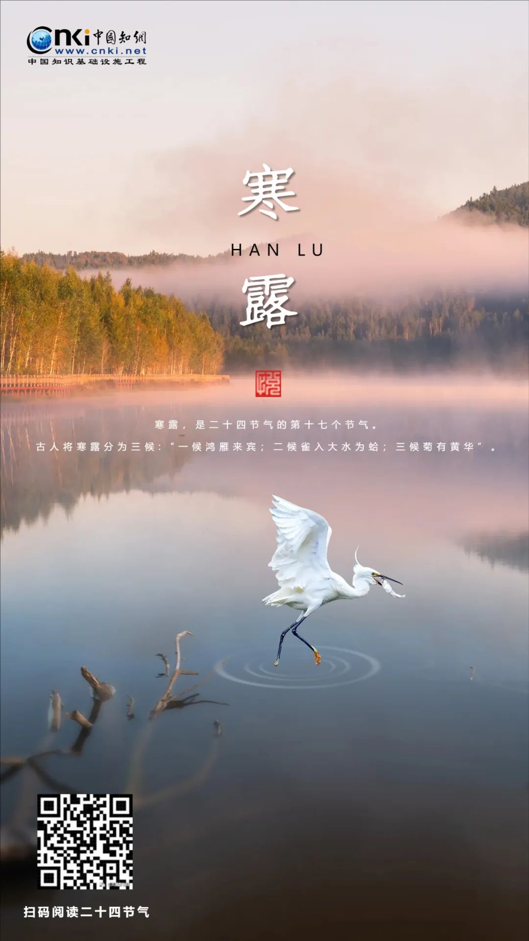 推 推.jpg?v=1765913842058