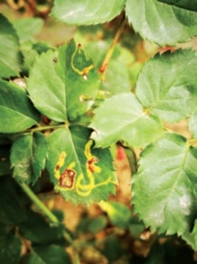 pagenumber_ebook=84,pagenumber_book=76