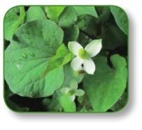 pagenumber_ebook=62,pagenumber_book=49