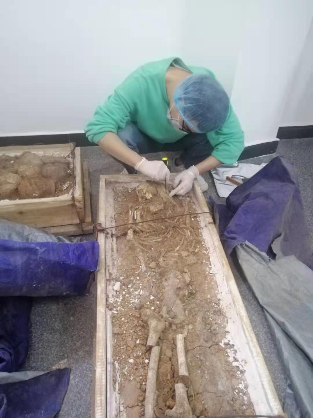 微信图片_20210425160529 微信图片_20210425160529.jpg