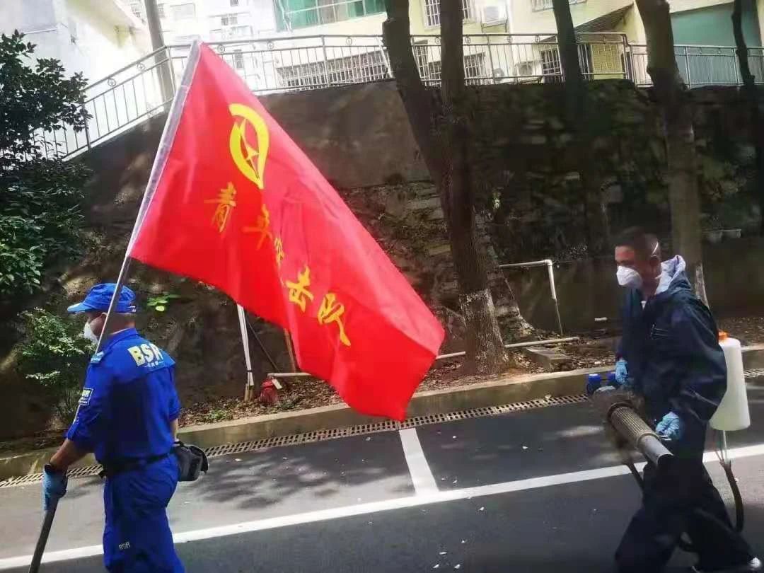 12 12.jpg?v=1765771841255