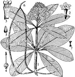 pagenumber_ebook=79,pagenumber_book=79