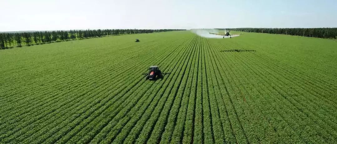 6d92ea5f85ba18f6576acb12e8b98d08 6d92ea5f85ba18f6576acb12e8b98d08.jpg