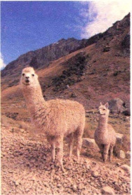 pagenumber_ebook=154,pagenumber_book=145