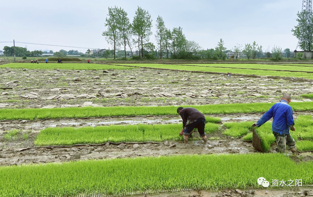 1 1.png?v=1765880879460